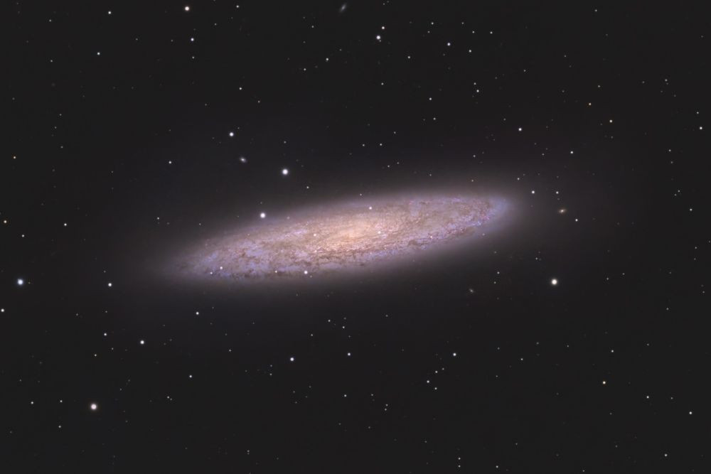NGC 253 Sculptor Galaxy, Silver Coin