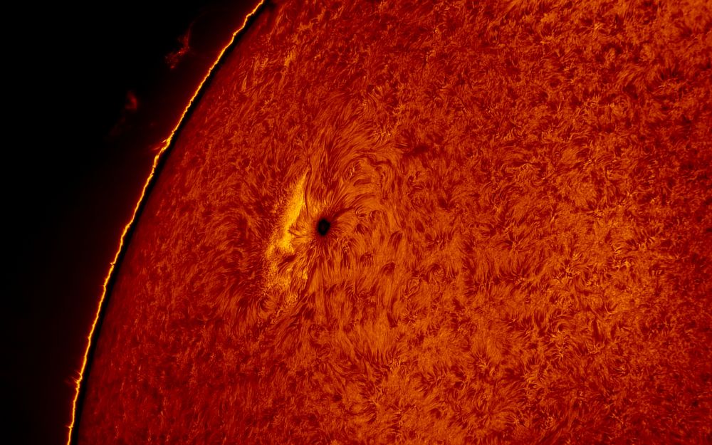 2016.03.26 Sun AR2526 H-Alpha
