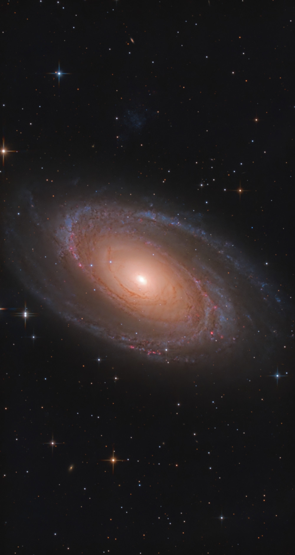 Bode's Galaxy (M 81) - Astrophotography
