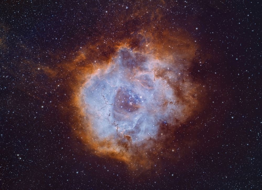 Розетка NGC2238