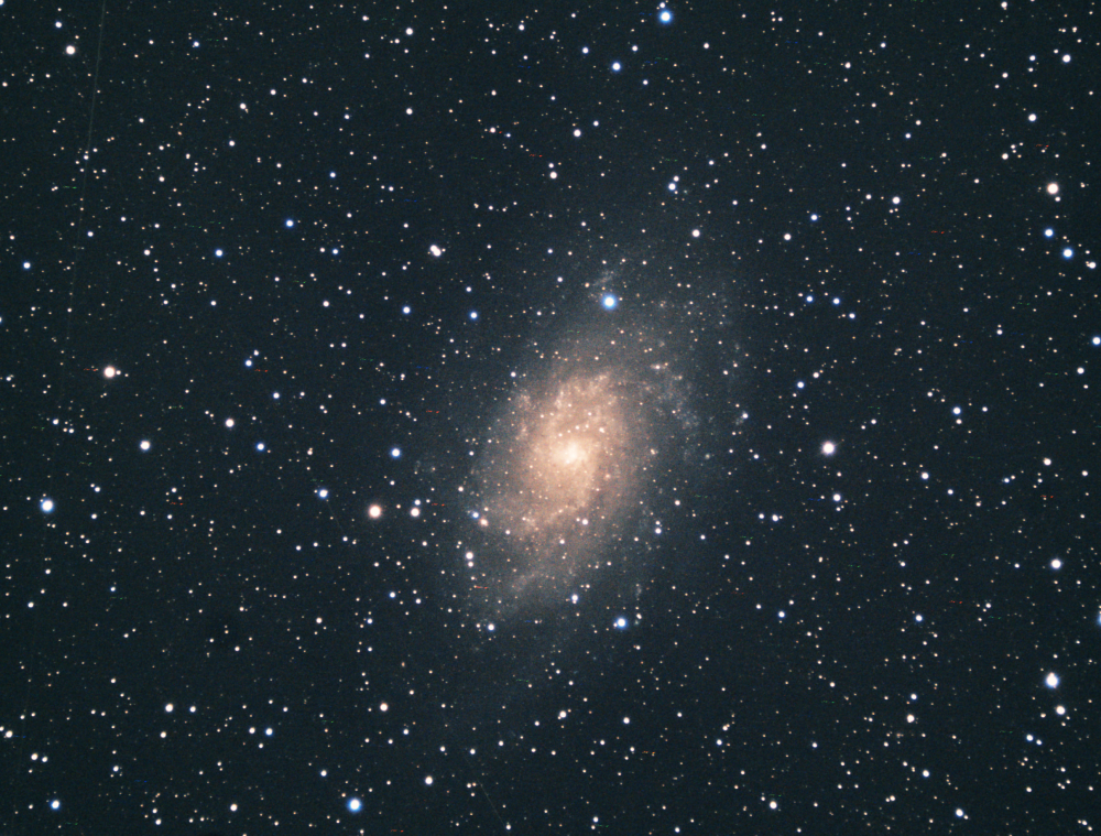 M33