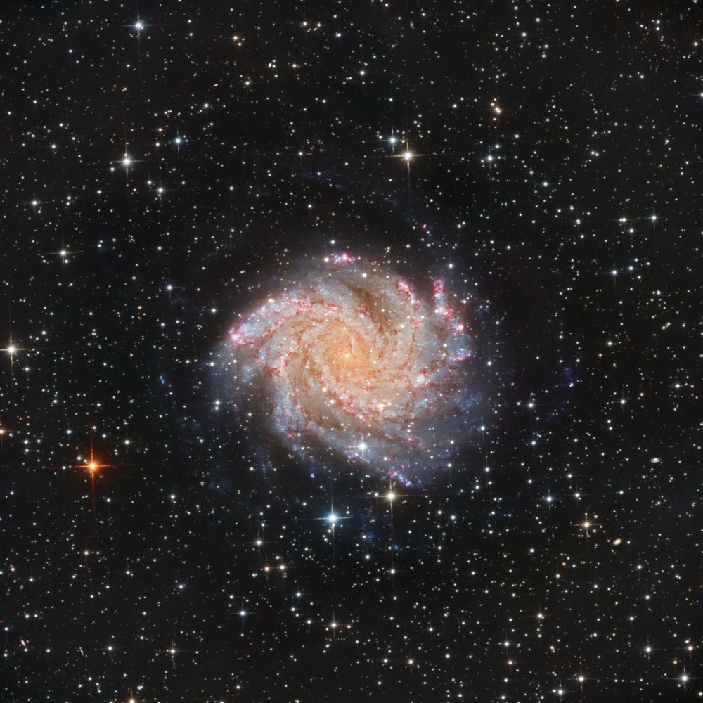 Галактика NGC6946 Фейерверк