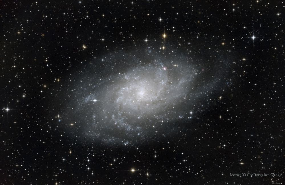 M 33