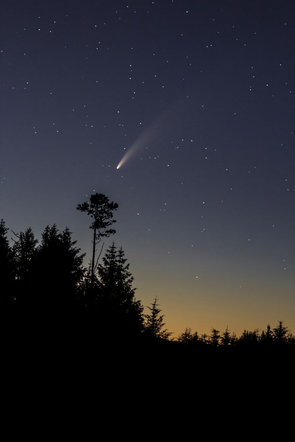 COMET C/2020 F3 NEOWISE over Macclesfield Forest