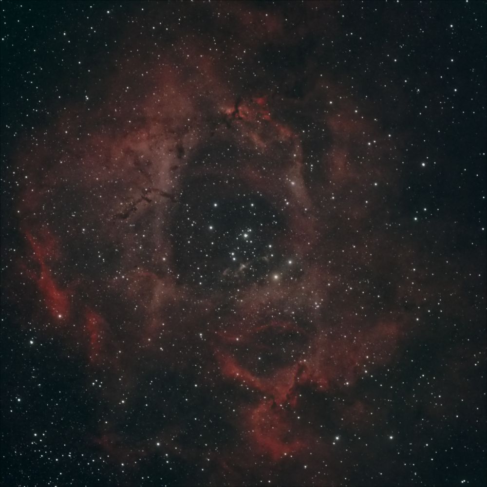 Туманность "Розетка" NGC2239 в Единороге