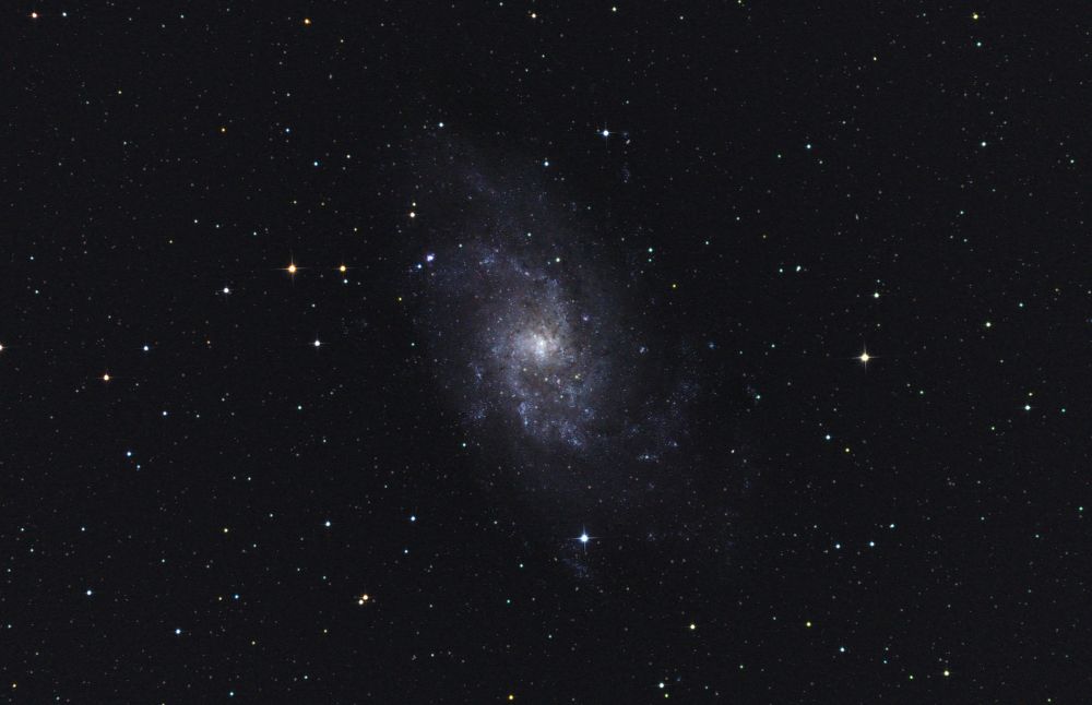 The Triangle Galaxy (M 33, NGC 598)