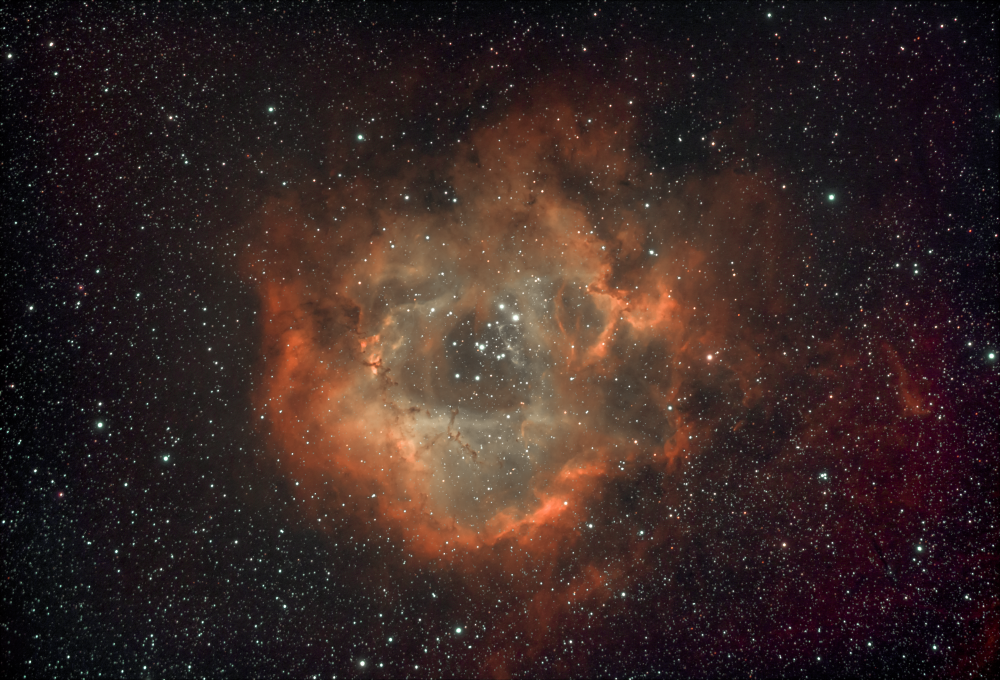 Туманность Розетта. NGC2244.