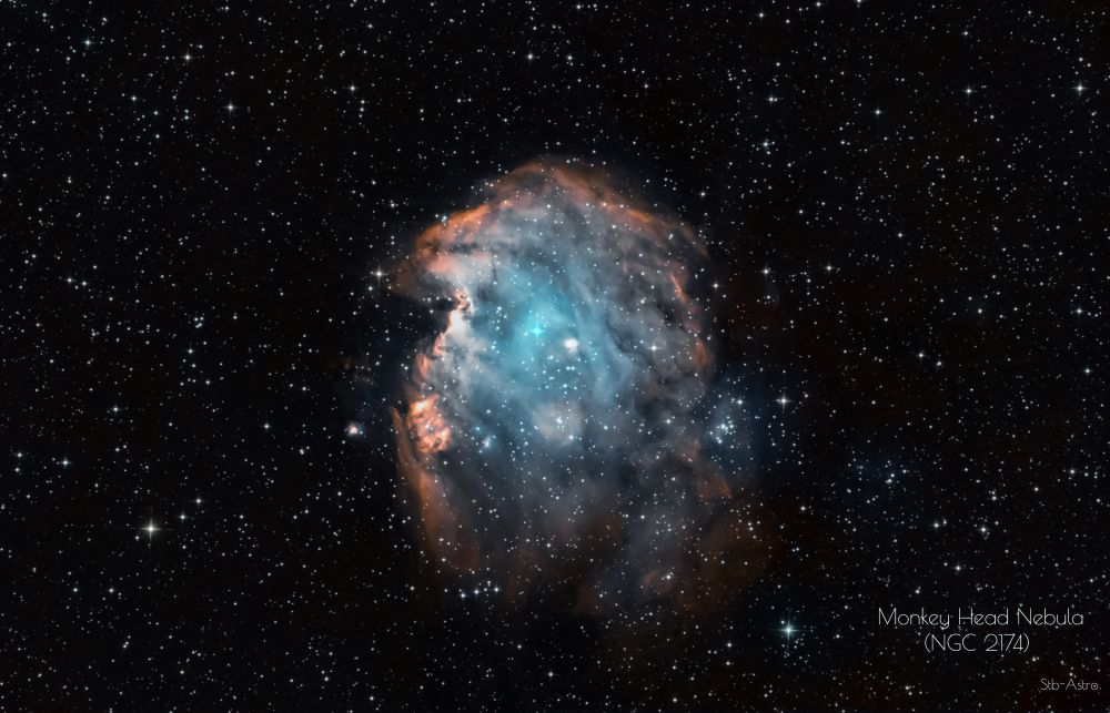 Monkey Head Nebula (NGC 2174)