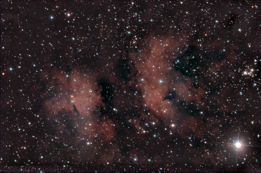 Эмиссионная туманность IC 1318 "Бабочка" и звезда Садр в созвездии Лебедь. 08-09.05.2023