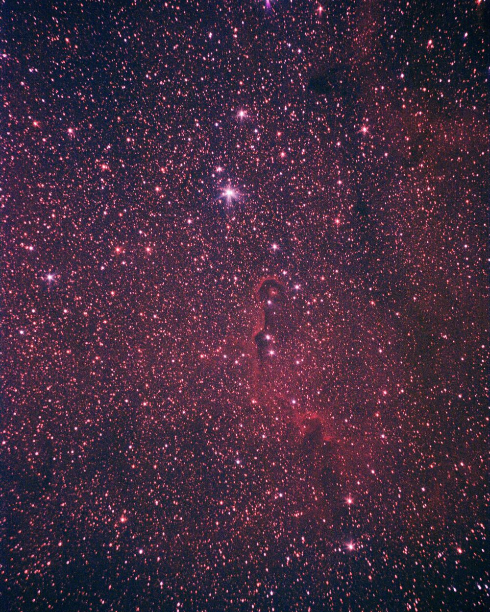 IC1396 Туманность Хобот Слона  