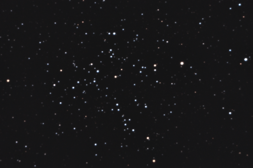 Messier 38 "Морская звезда (Starfish Cluster)" 
