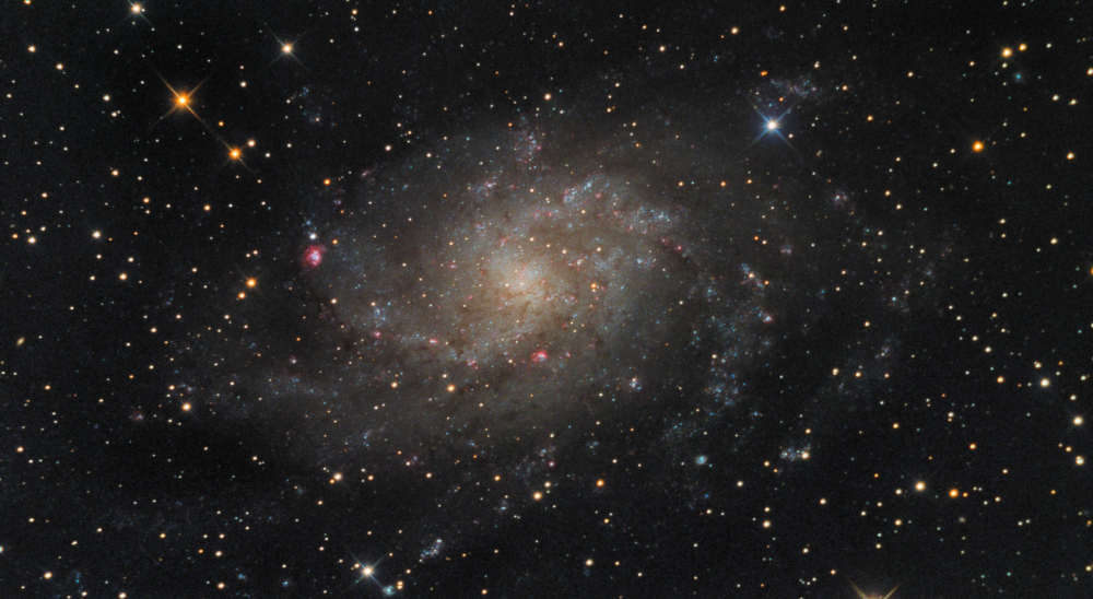 M33