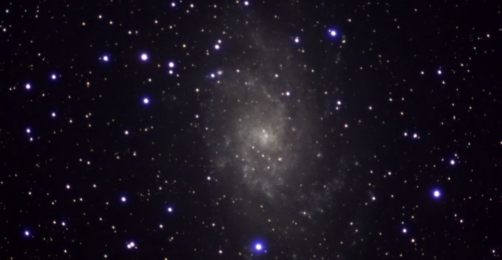 M33