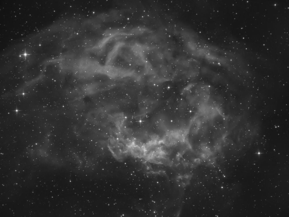Lower's Nebula (Sh2-261)