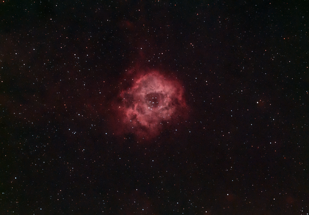 NGC 2238 Розетка