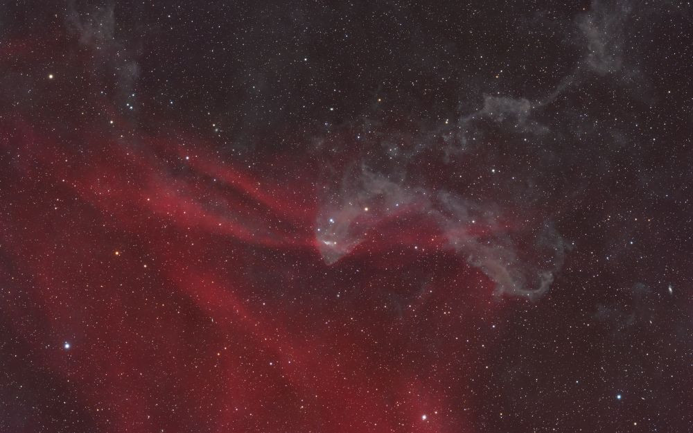 LBN 437 Gecko Nebula