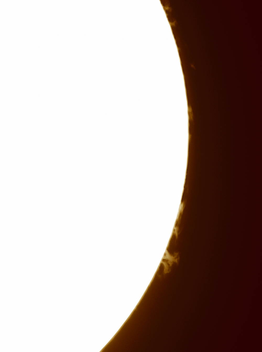 Sun (H-alpha). Protuberance. 13.06.19