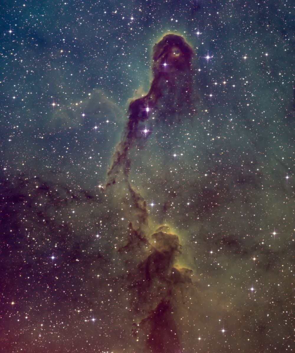 IC 1396, Elephant's Trunk nebula