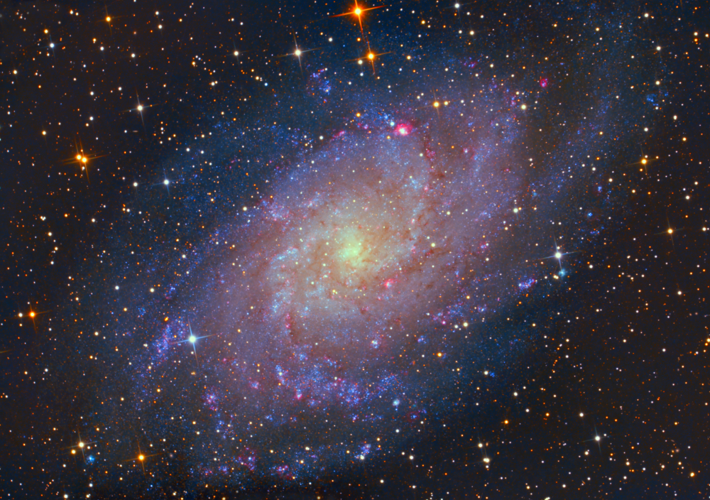 M33