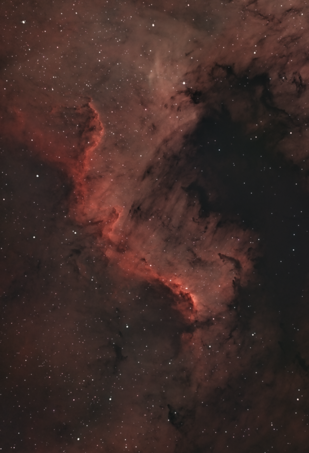 Фрагмент туманности Северная Америка "Стена" (NGC 7000)