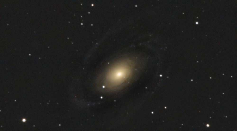 M81