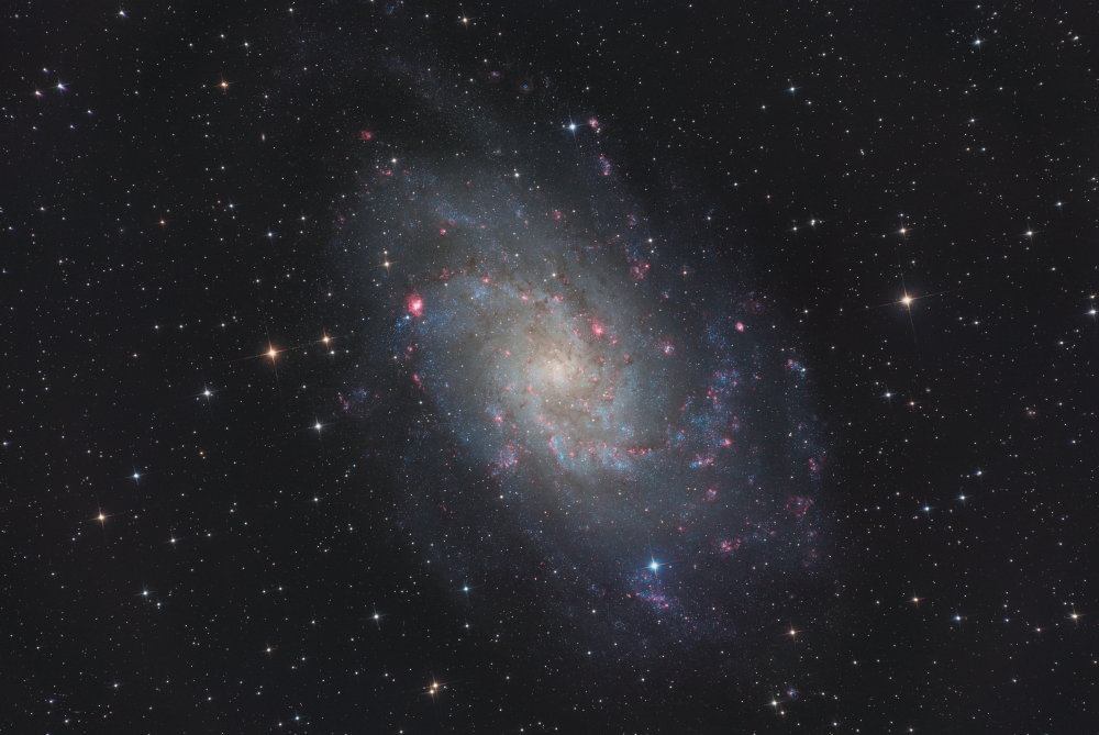 M33