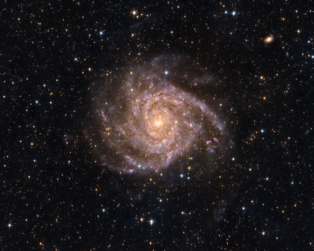 IC 342 - The Hidden Galaxy