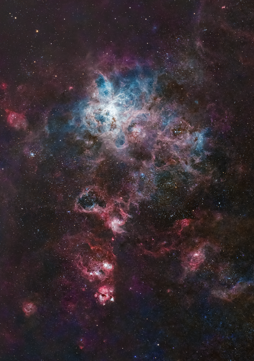The Tarantula Nebula (NGC 2070) - астрофотография