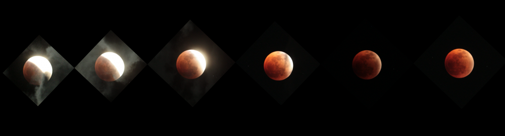 Phases of a total lunar eclipse - Astrophotography