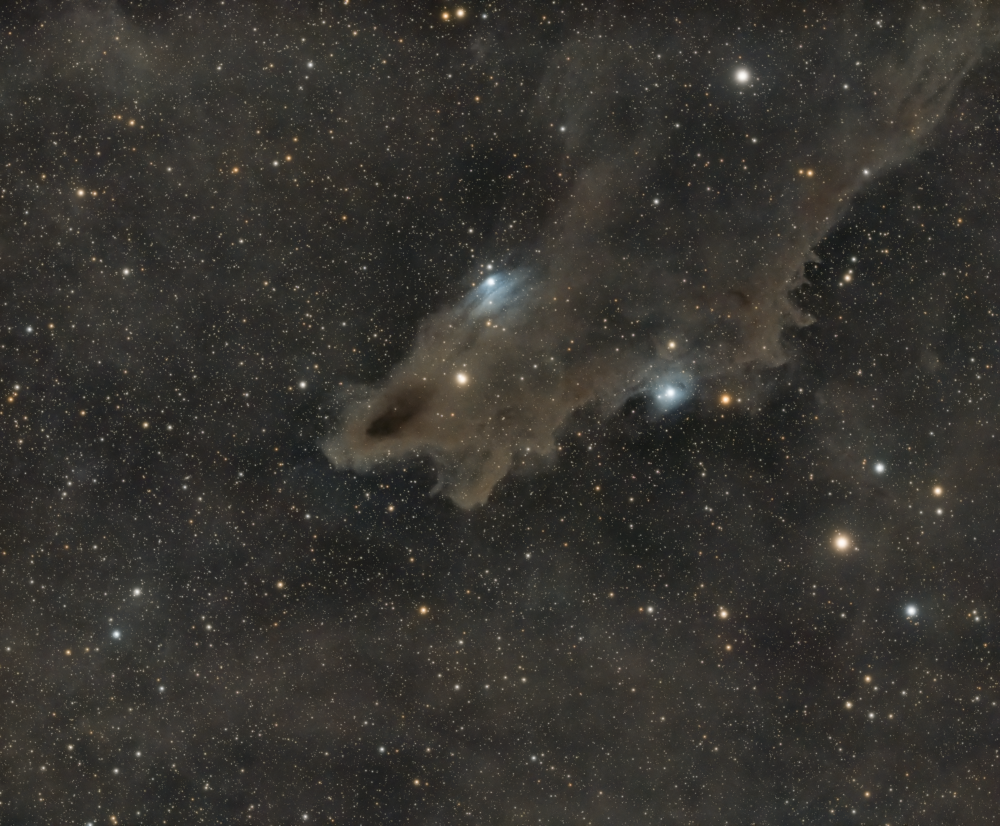 LDN1235 - Dark Shark Nebula