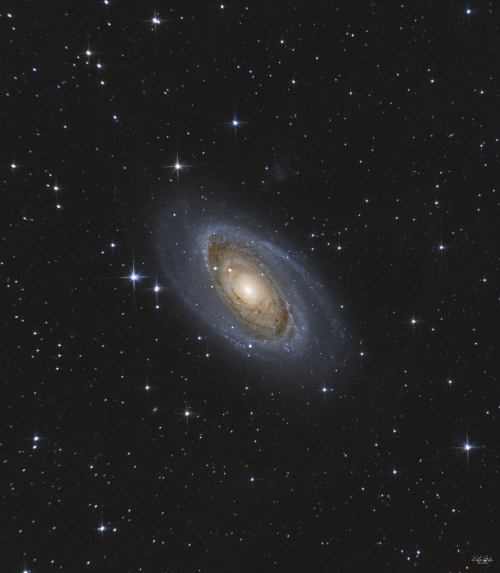 M81 Bode galaxy