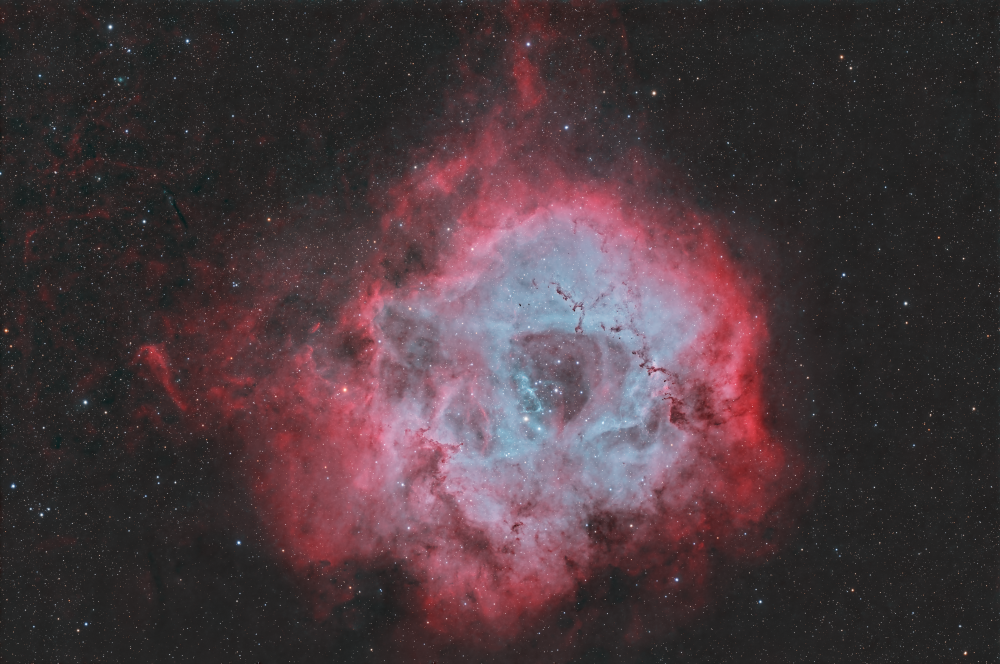 NGC2244