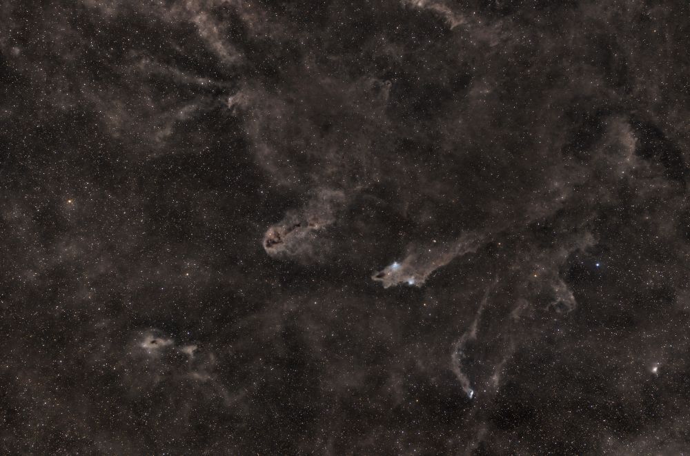 Shark Nebula LDN 1235