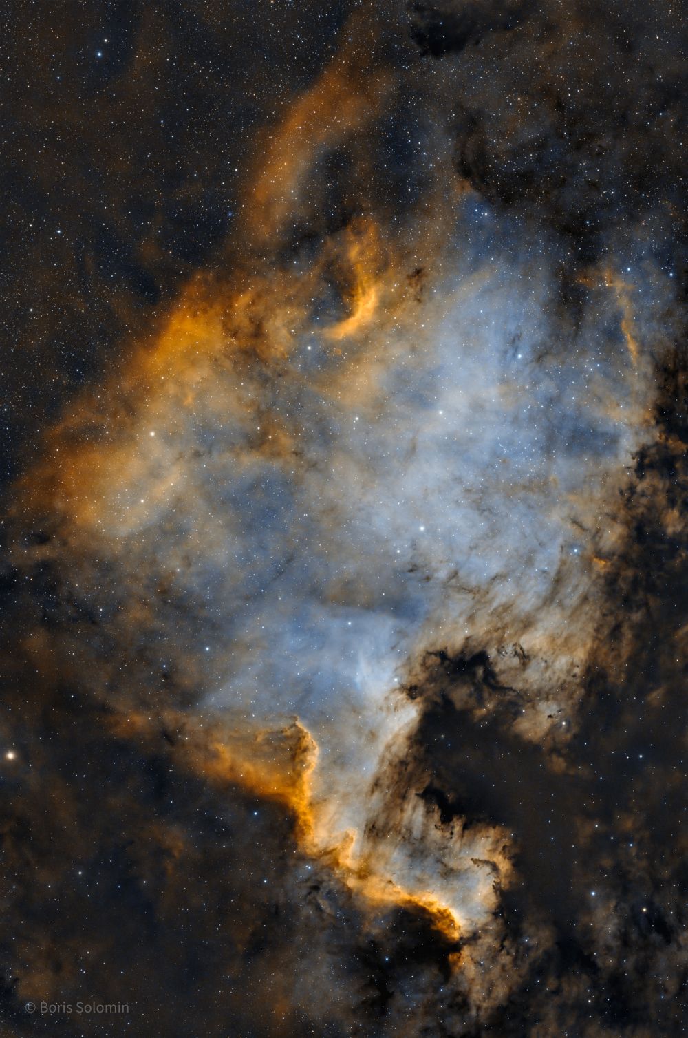 NGC 7000. North America. 