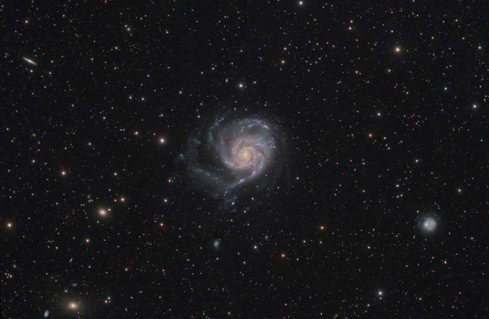 M101_SN2023IXF