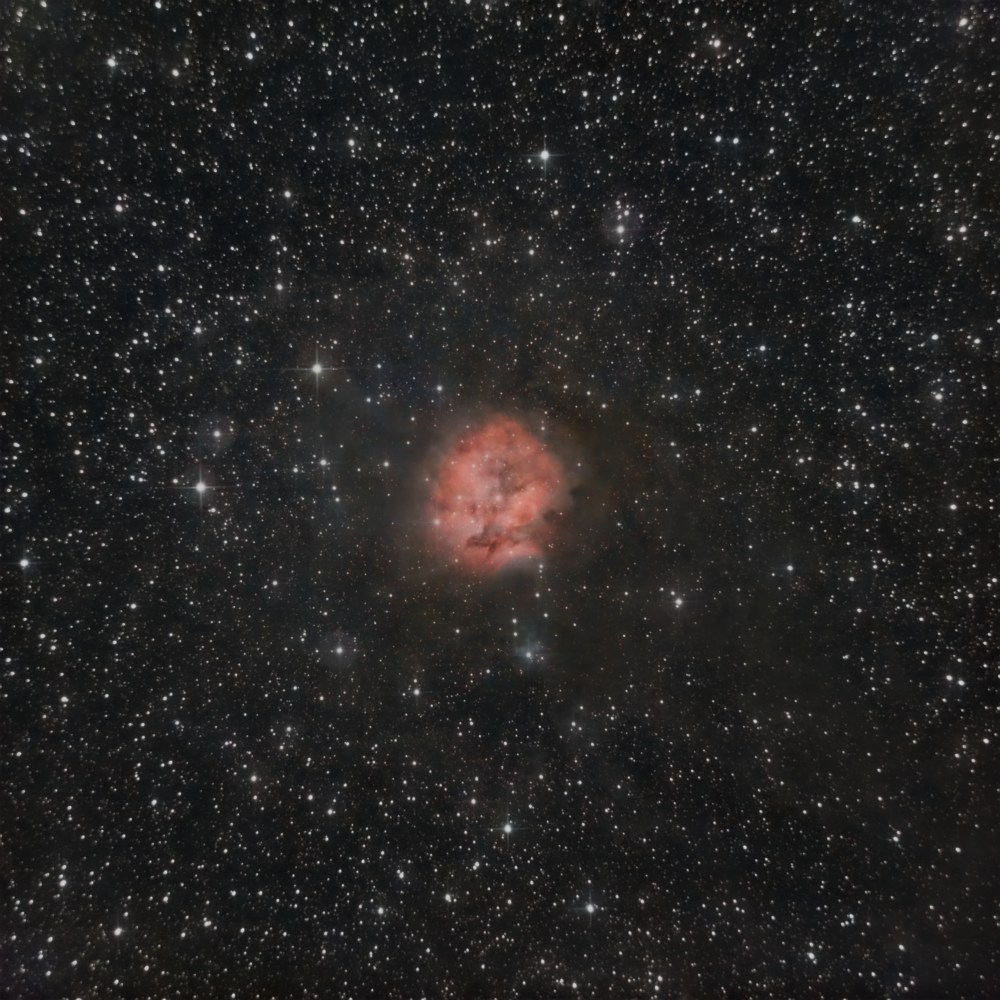 C19 - Cocoon Nebula