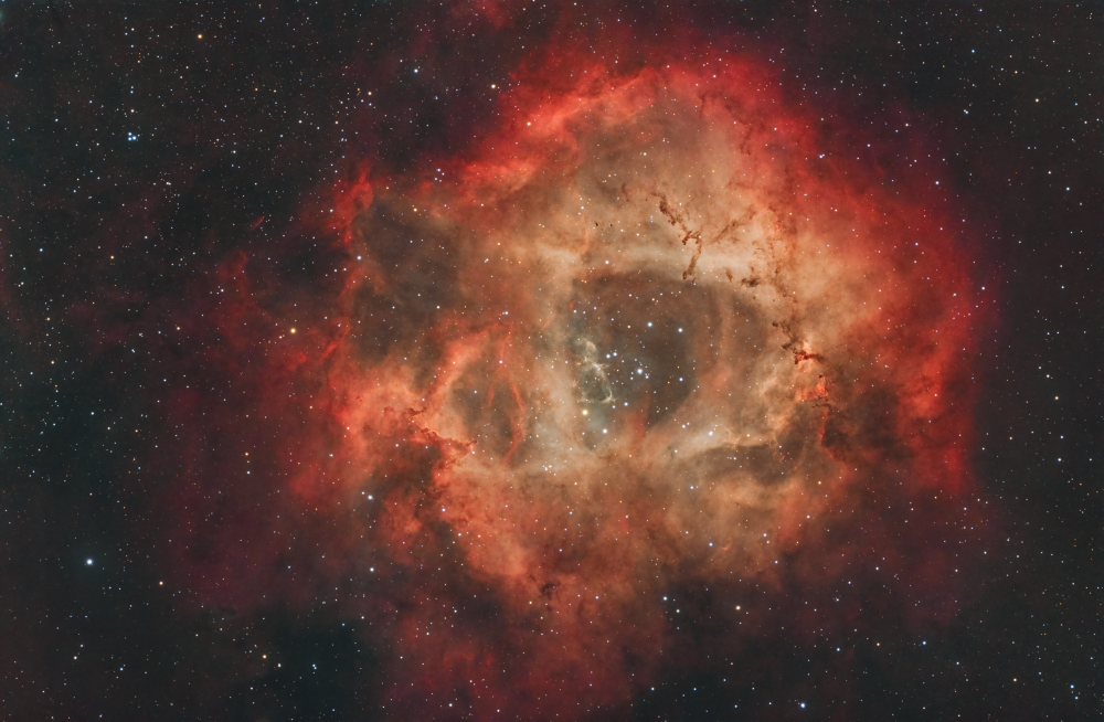 The Rosette Nebula (rgb)