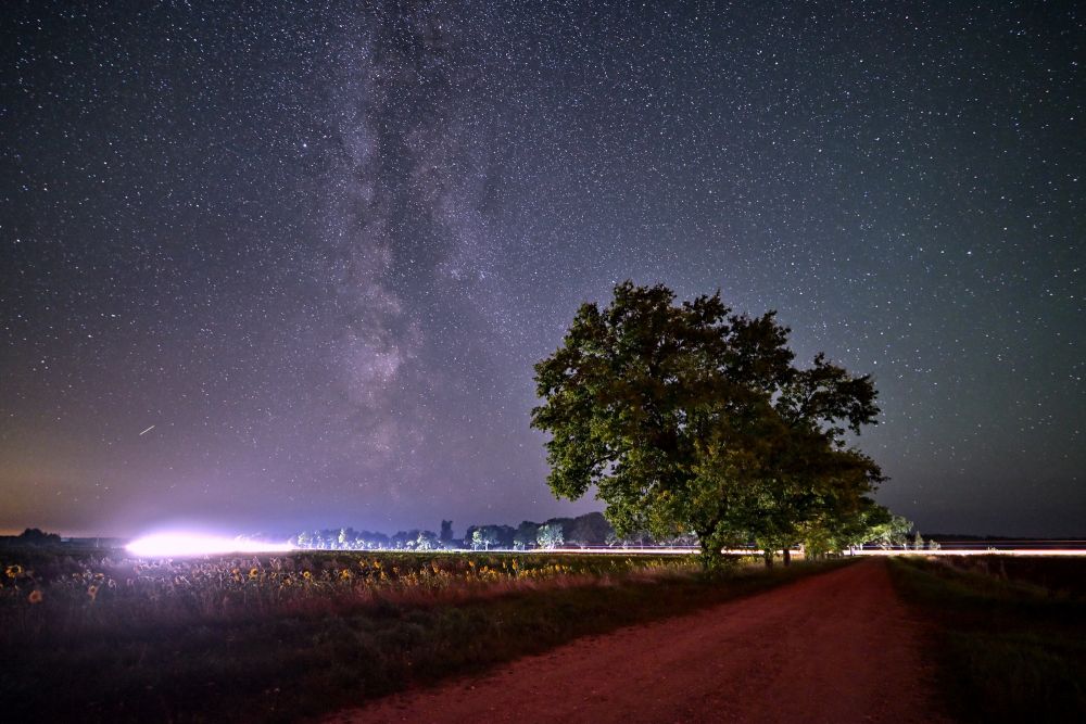 Milky Way / Vidzeme 09.2024