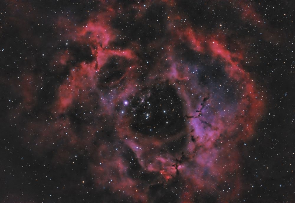 NGC 2244 - Rosette Nebula