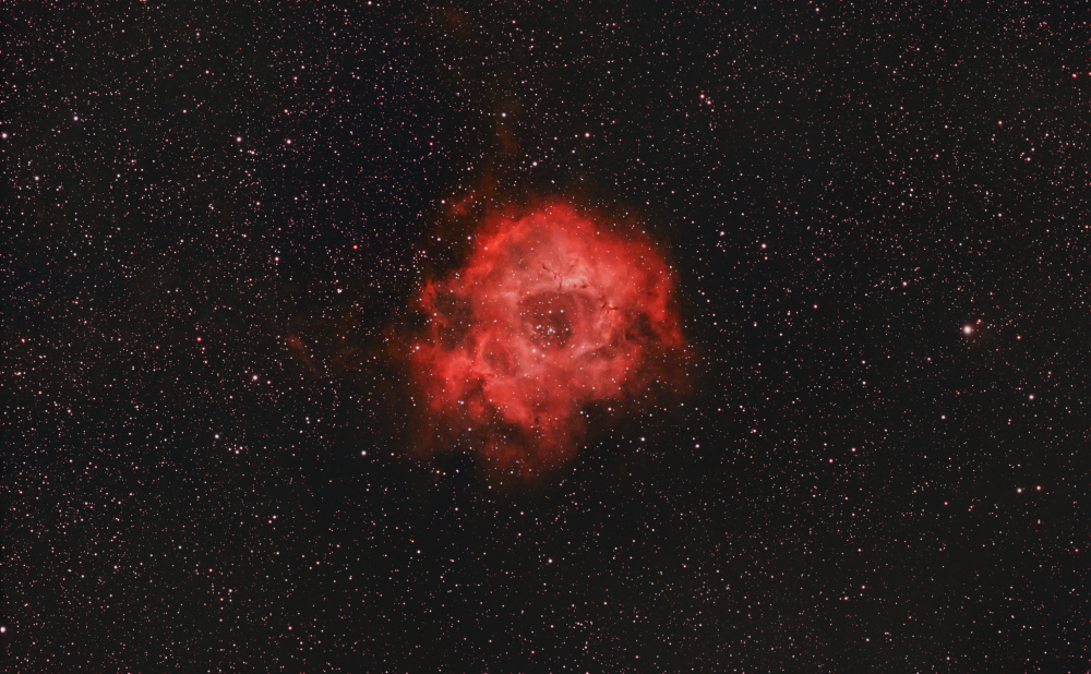 NGC 2238 Розетка