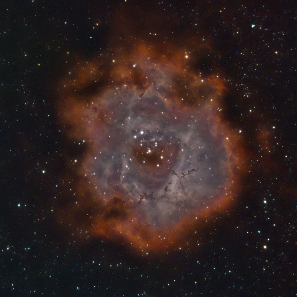 Туманность Розетка (NGC 2237)