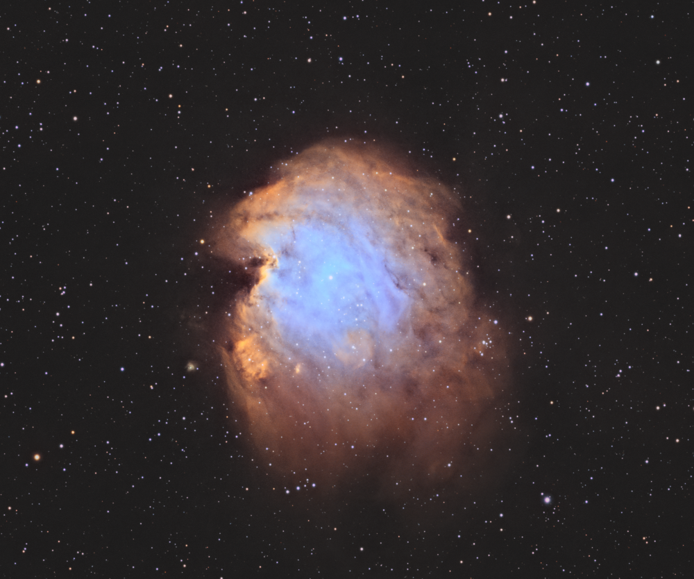 NGC2174, Голова обезьяны