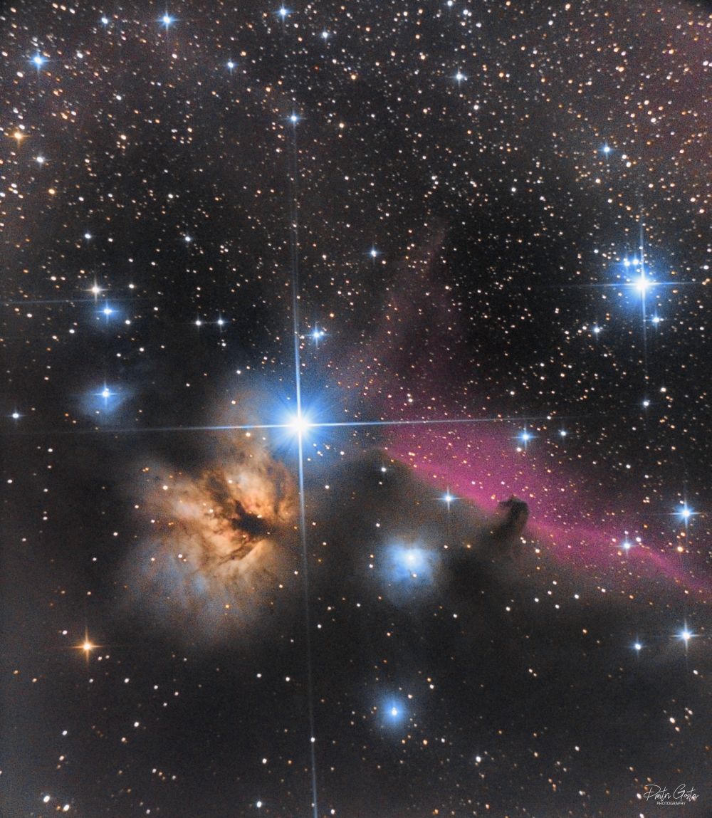 Horsehead nebula & Flame nebula