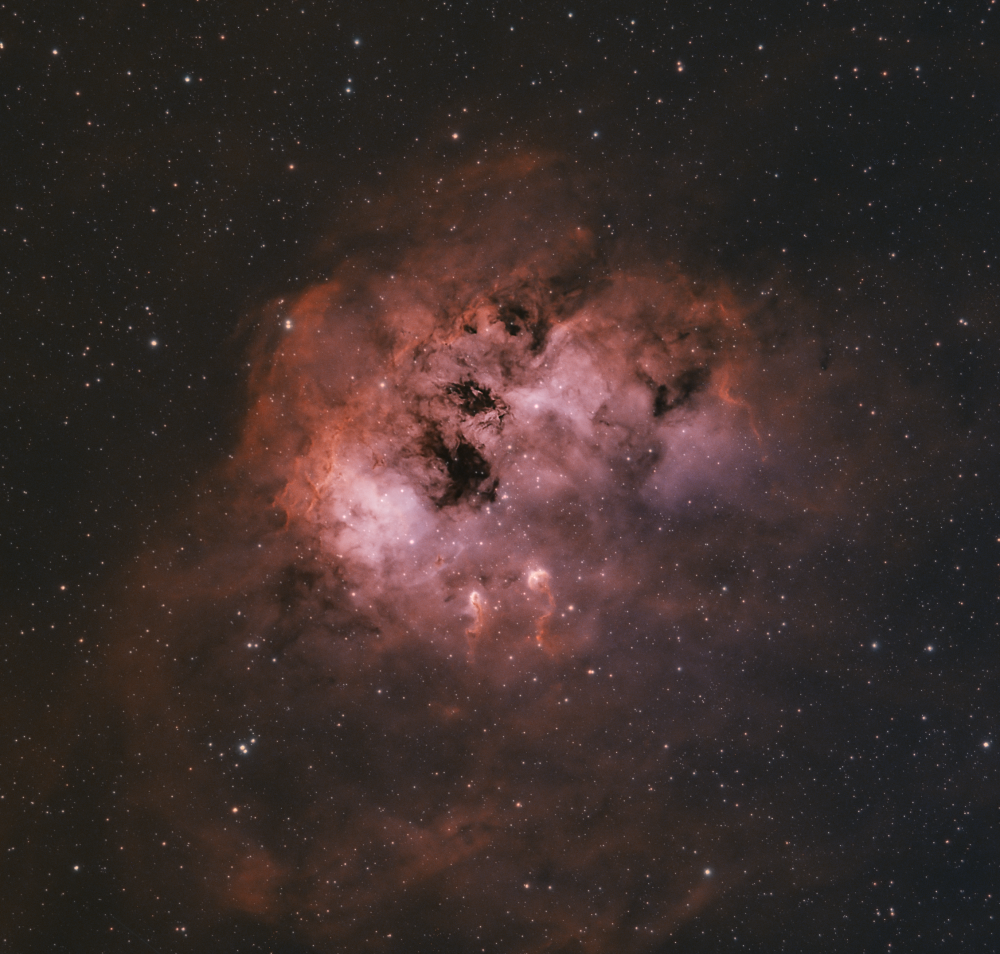 IC410 - The Tadpoles Nebula