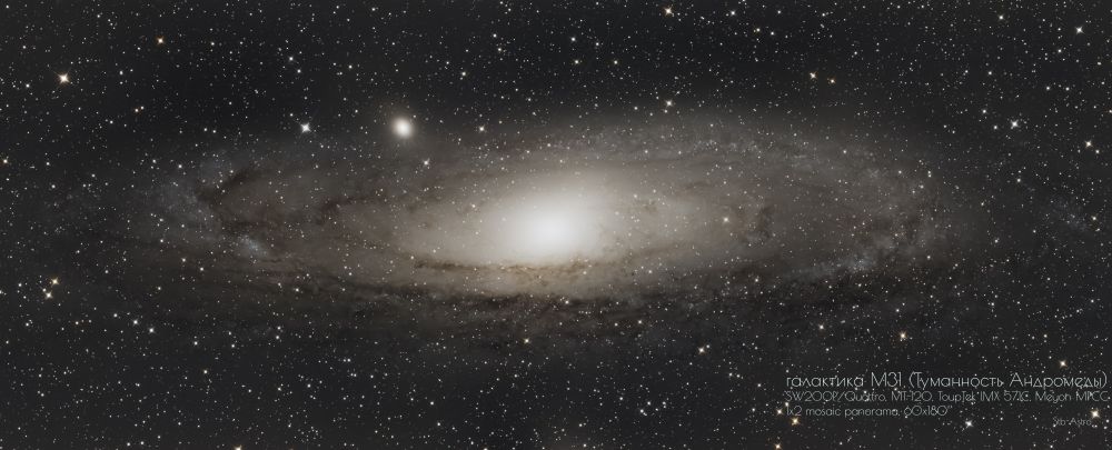 M31