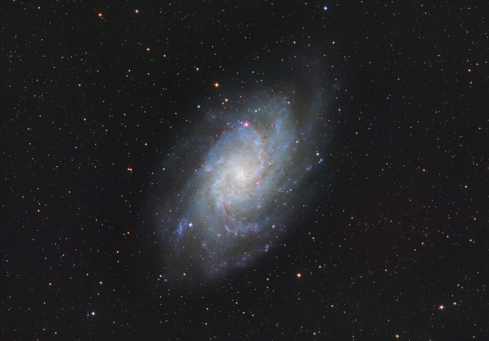 M33