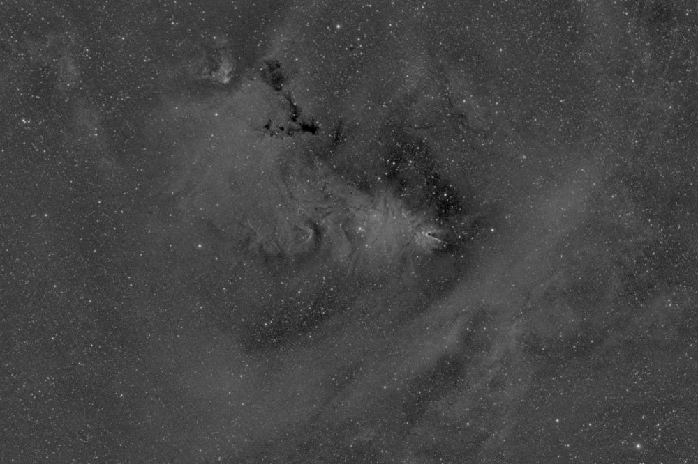 NGC2264 и окрестности