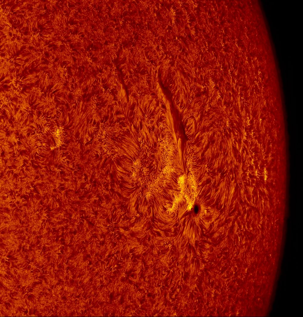 2016.03.26 Sun AR2524 H-Alpha