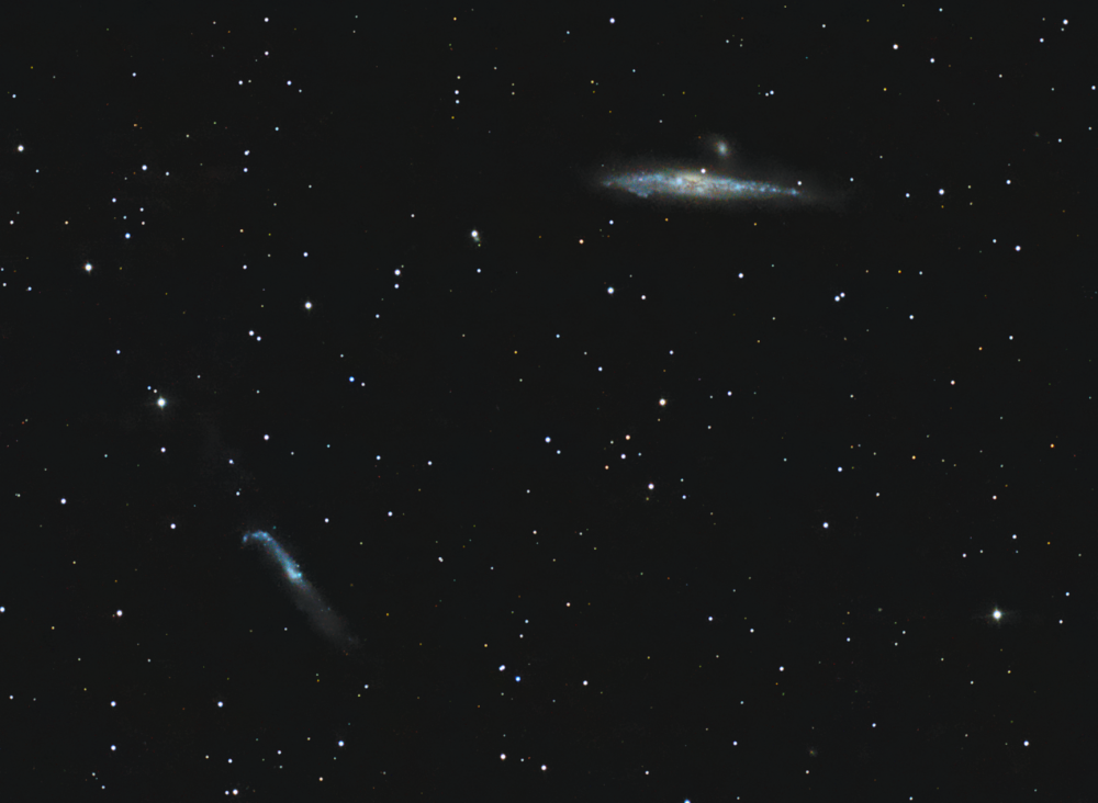 NGC 4631 и NGC 4656 "Кит" и "Лом"