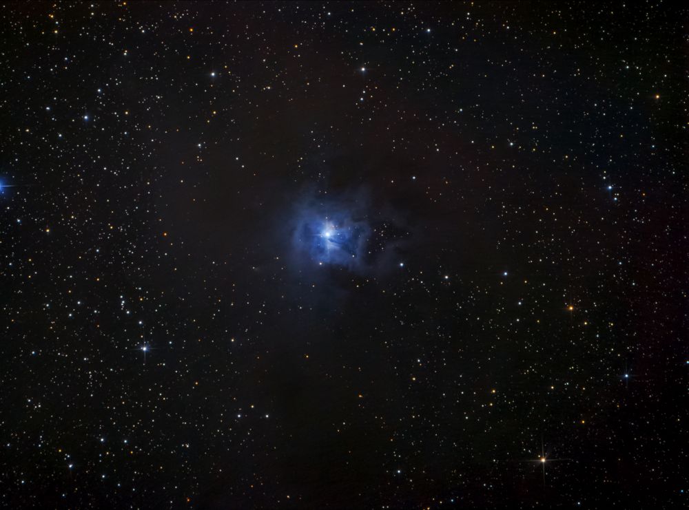 NGC7023. Iris Nebula.